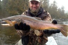 25-inch-ausable-fish