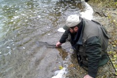 Steelhead-Release-