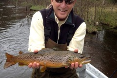 nice-brown